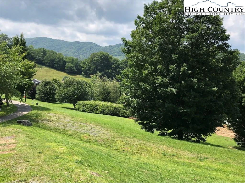 Image number 8 for the current listing