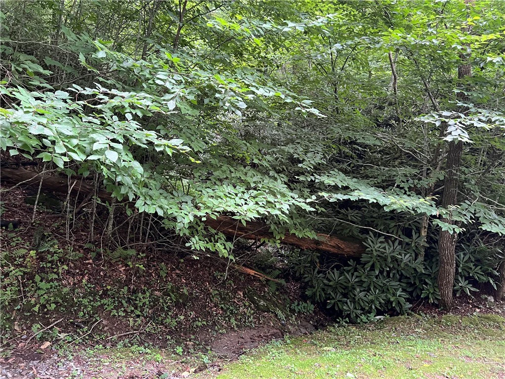 Image number 14 for the current listing