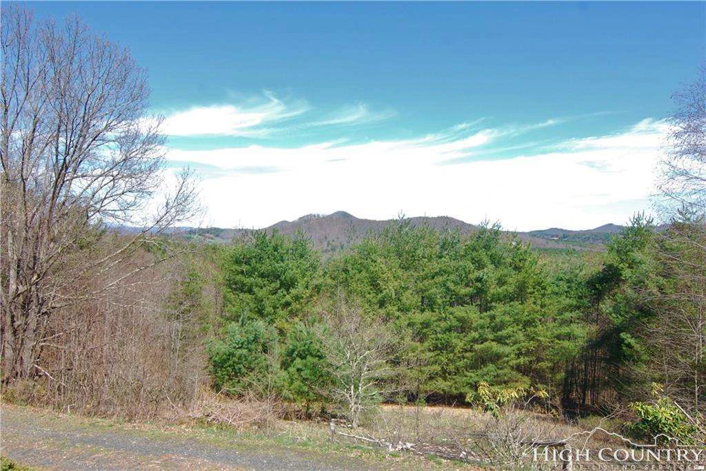 Image number 1 for the current listing