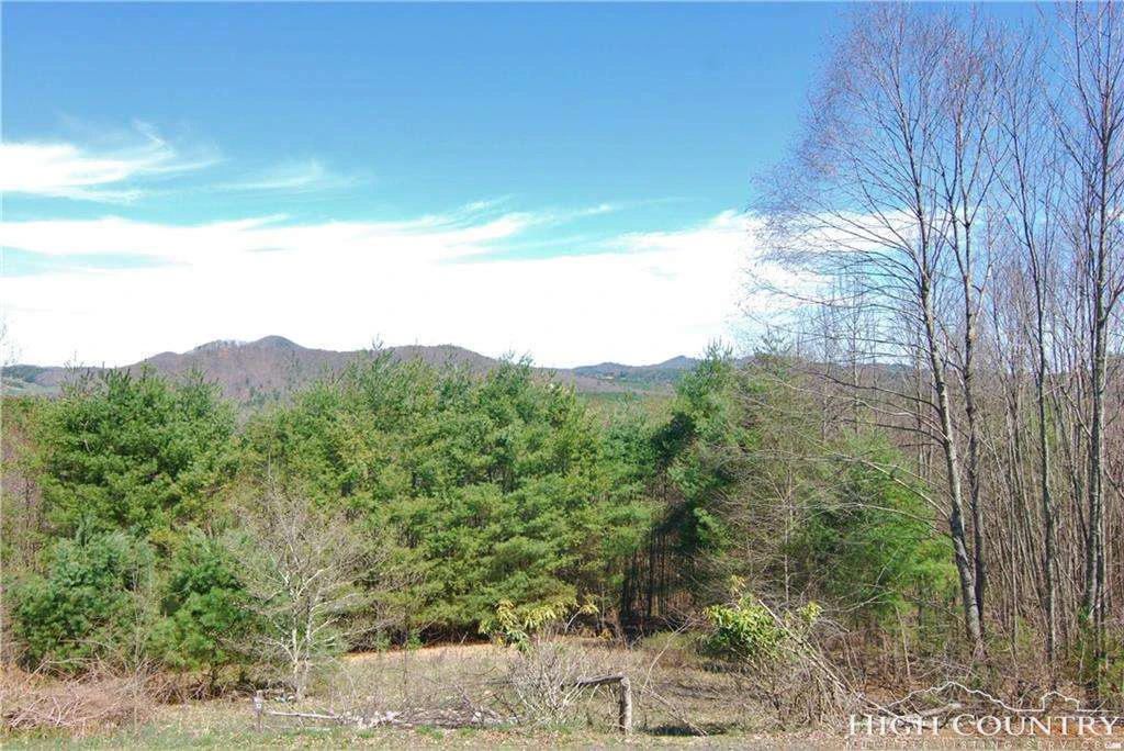 Image number 3 for the current listing