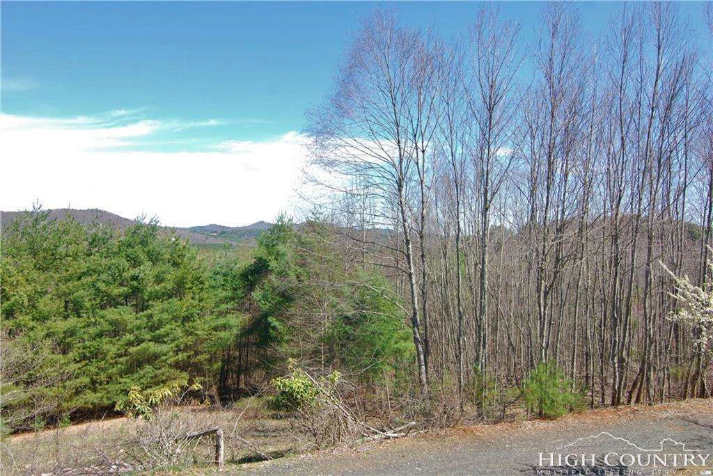 Image number 4 for the current listing