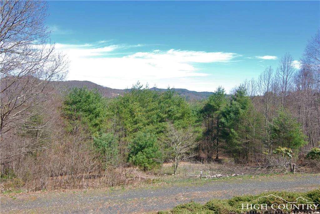 Image number 5 for the current listing