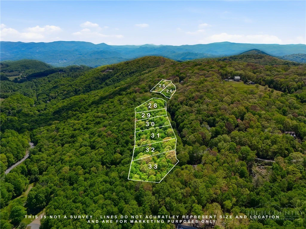 Image number 1 for the current listing