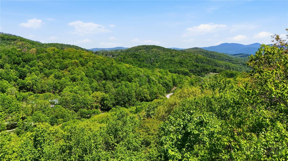 Image number 4 for the current listing