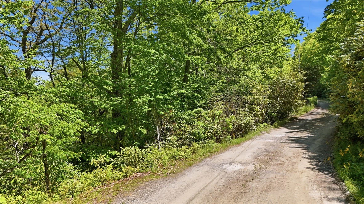 Image number 7 for the current listing