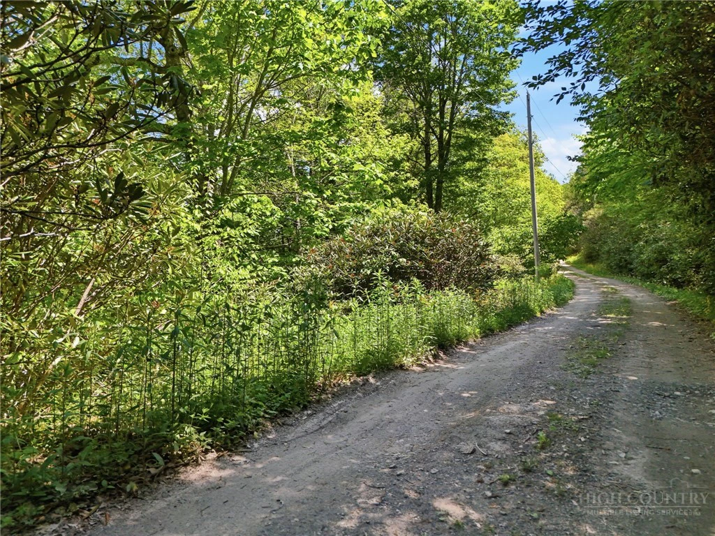 Image number 9 for the current listing