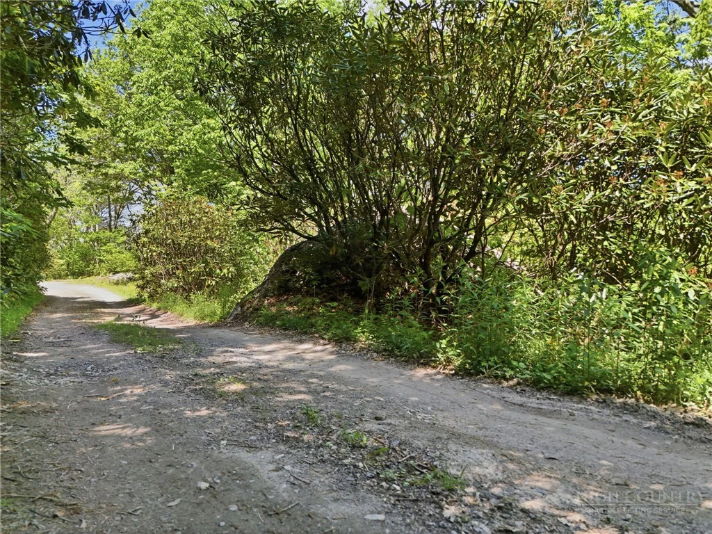 Image number 10 for the current listing
