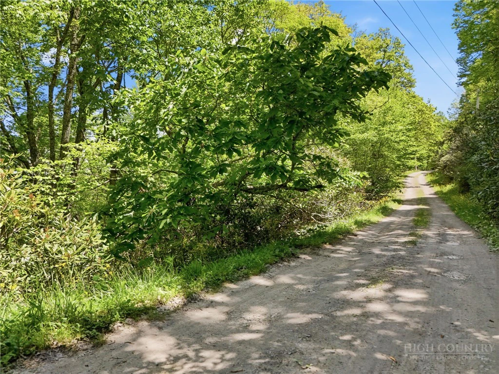 Image number 11 for the current listing