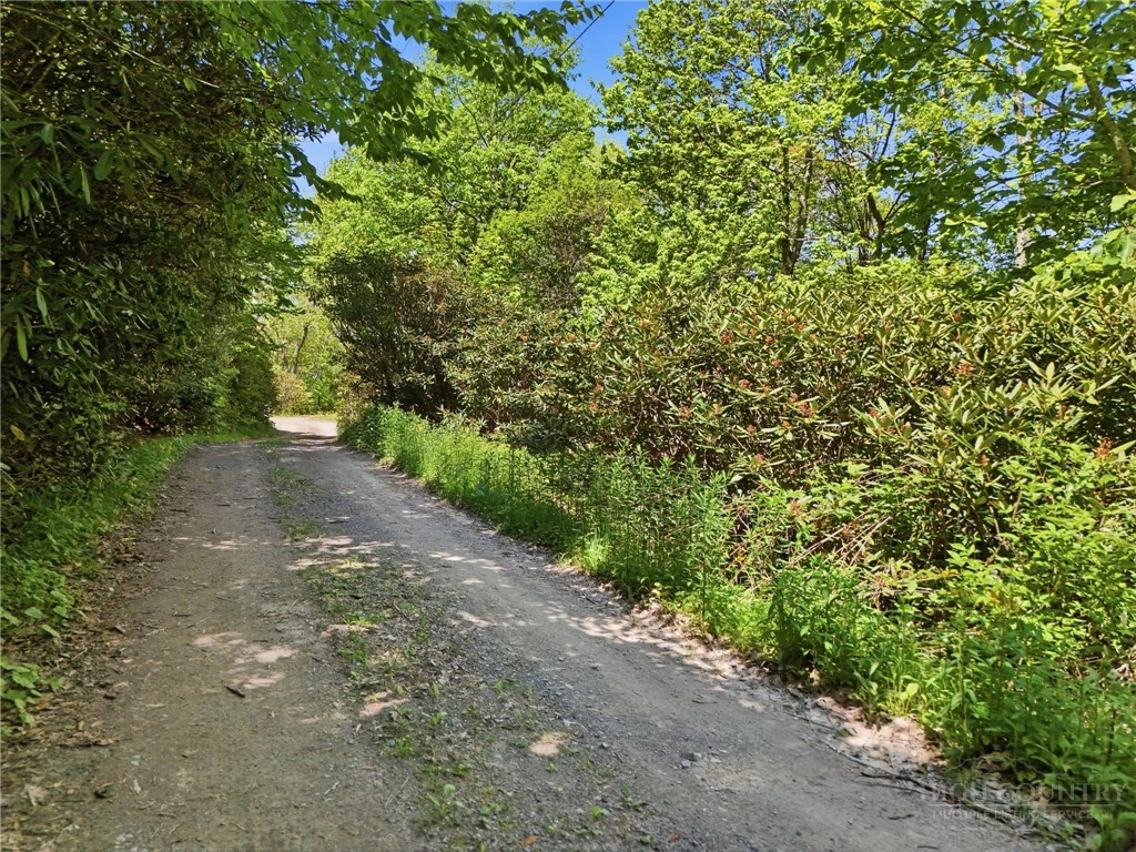 Image number 12 for the current listing