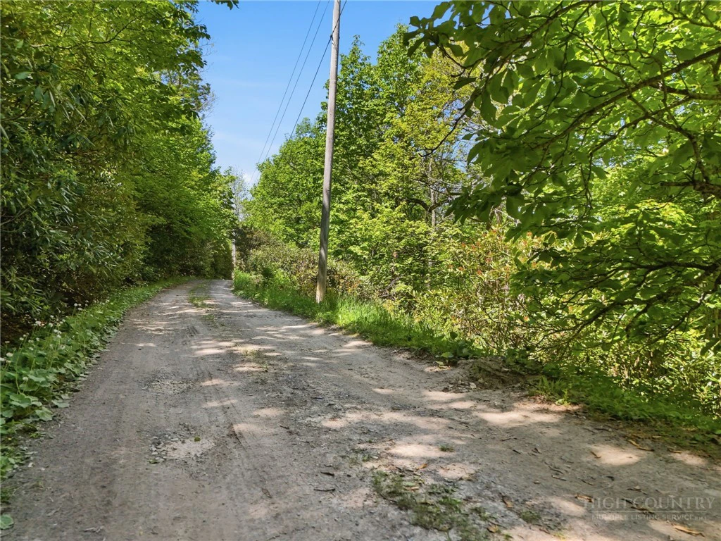 Image number 13 for the current listing