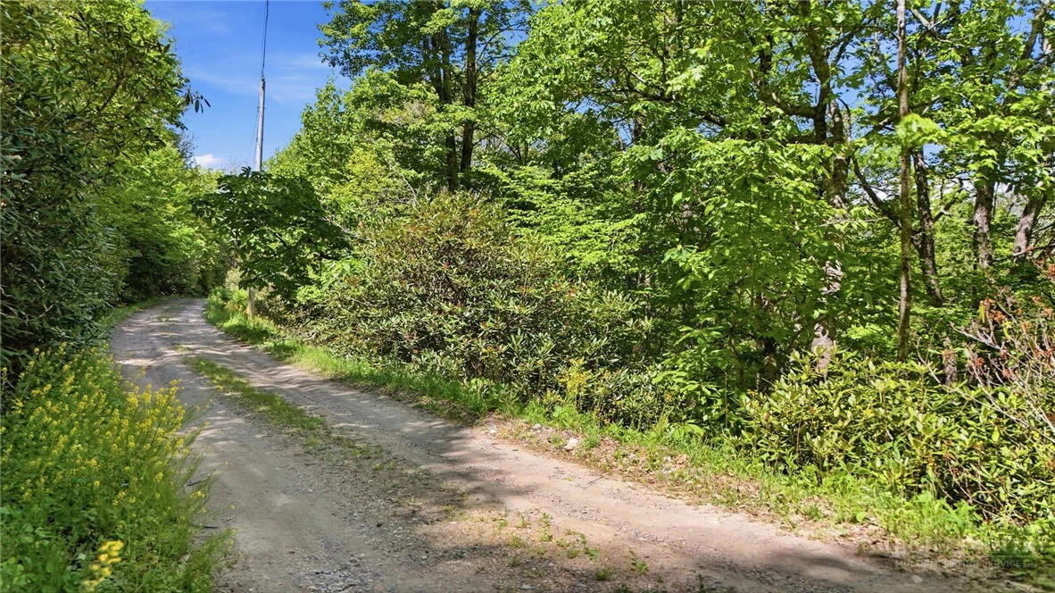 Image number 14 for the current listing