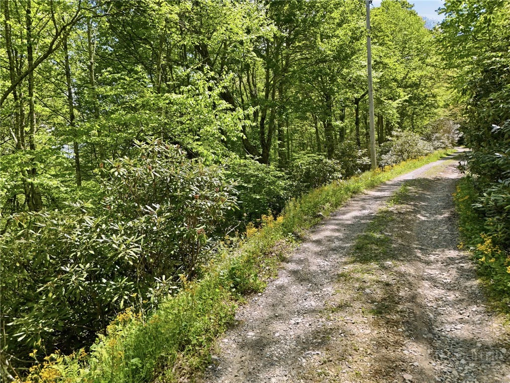 Image number 15 for the current listing