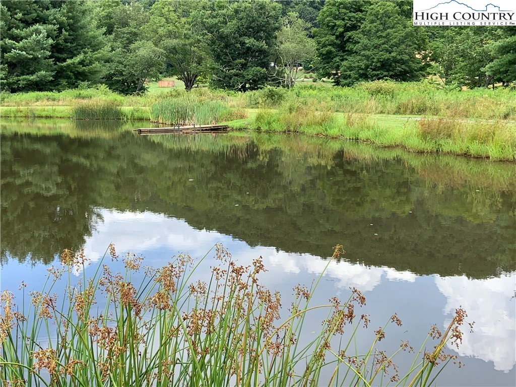 Image number 5 for the current listing