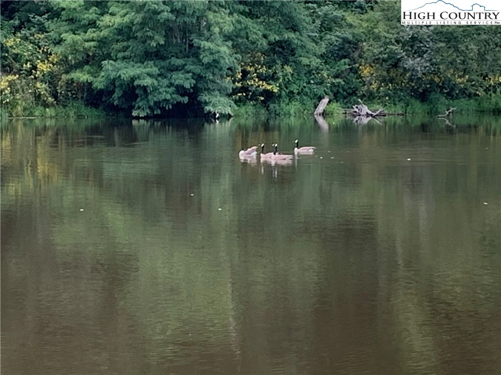 Image number 10 for the current listing