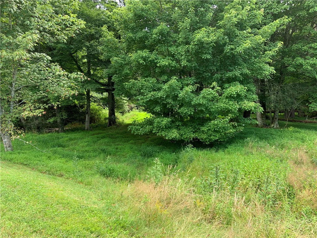 Image number 2 for the current listing