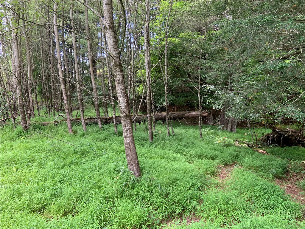 Image number 5 for the current listing