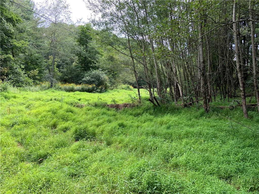 Image number 6 for the current listing