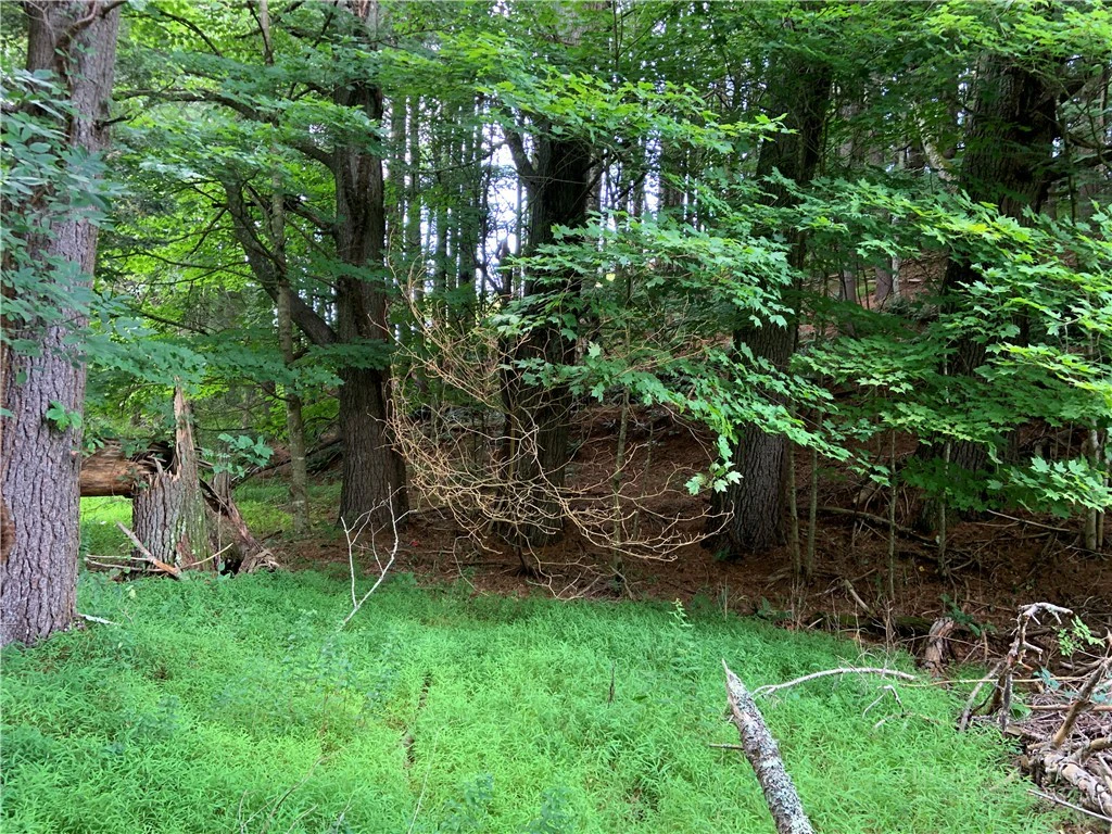 Image number 7 for the current listing
