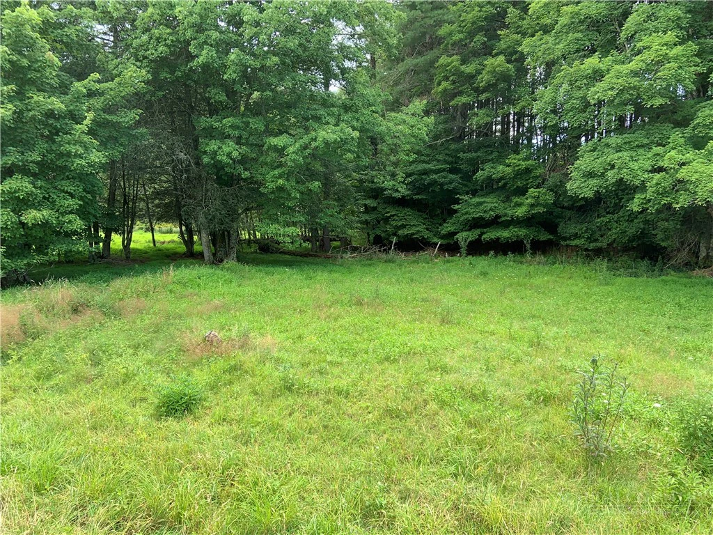 Image number 8 for the current listing
