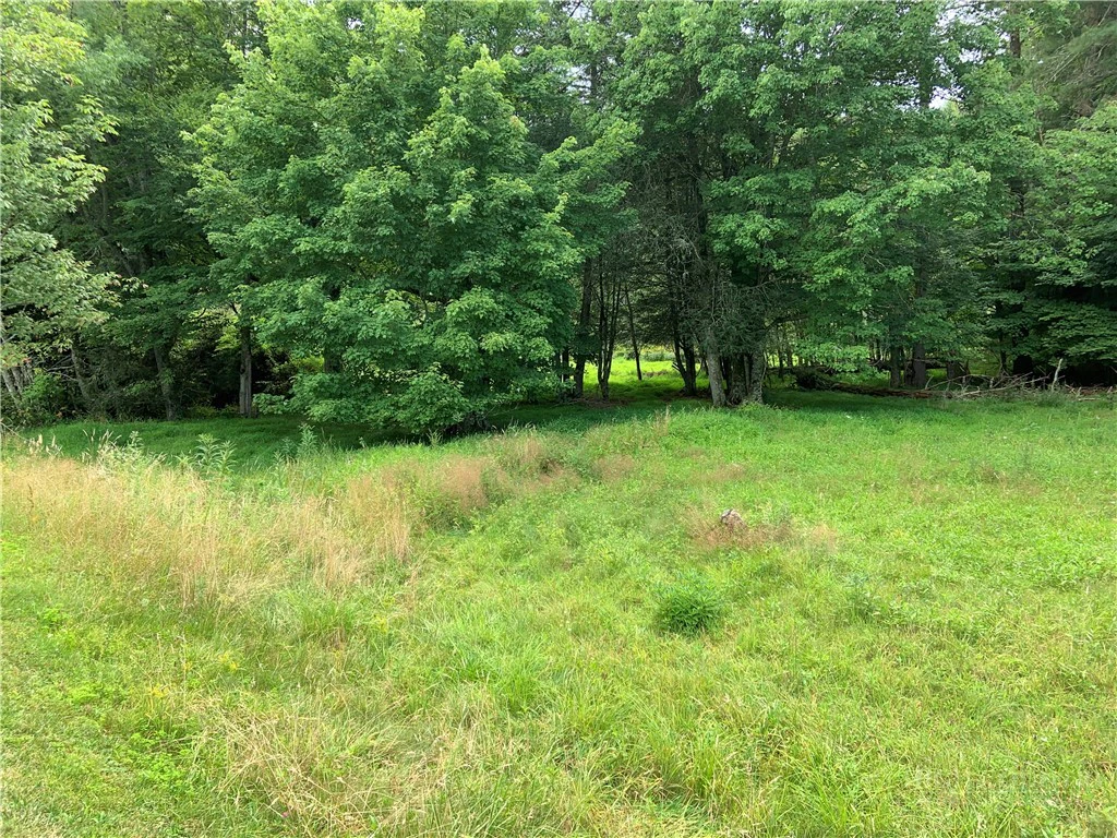 Image number 9 for the current listing