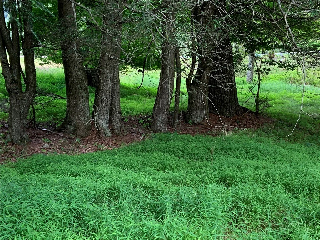 Image number 15 for the current listing