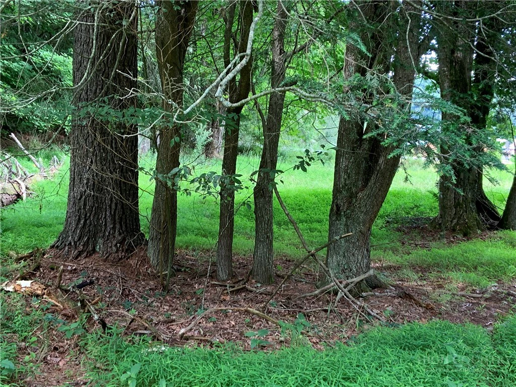 Image number 16 for the current listing