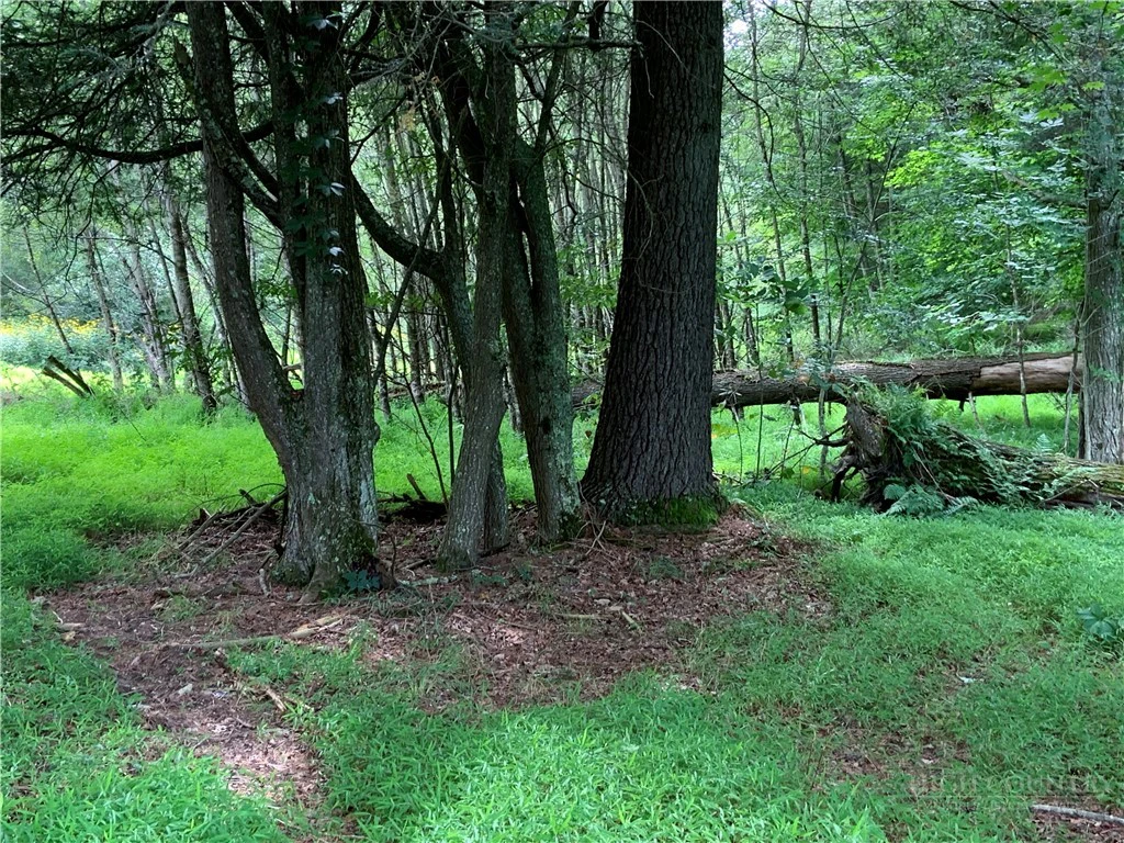 Image number 17 for the current listing