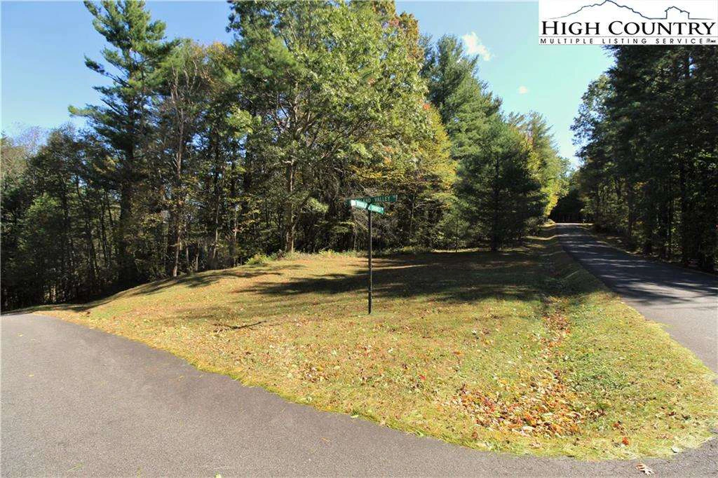 Image number 1 for the current listing