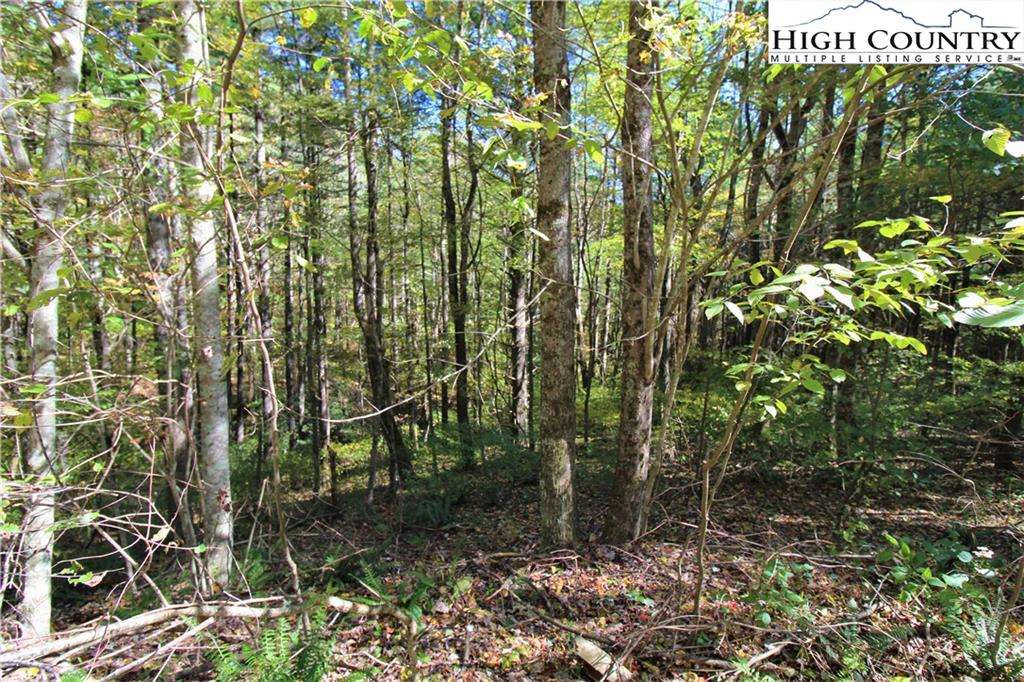 Image number 13 for the current listing