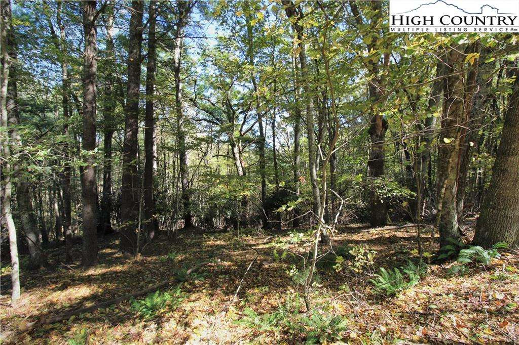 Image number 16 for the current listing