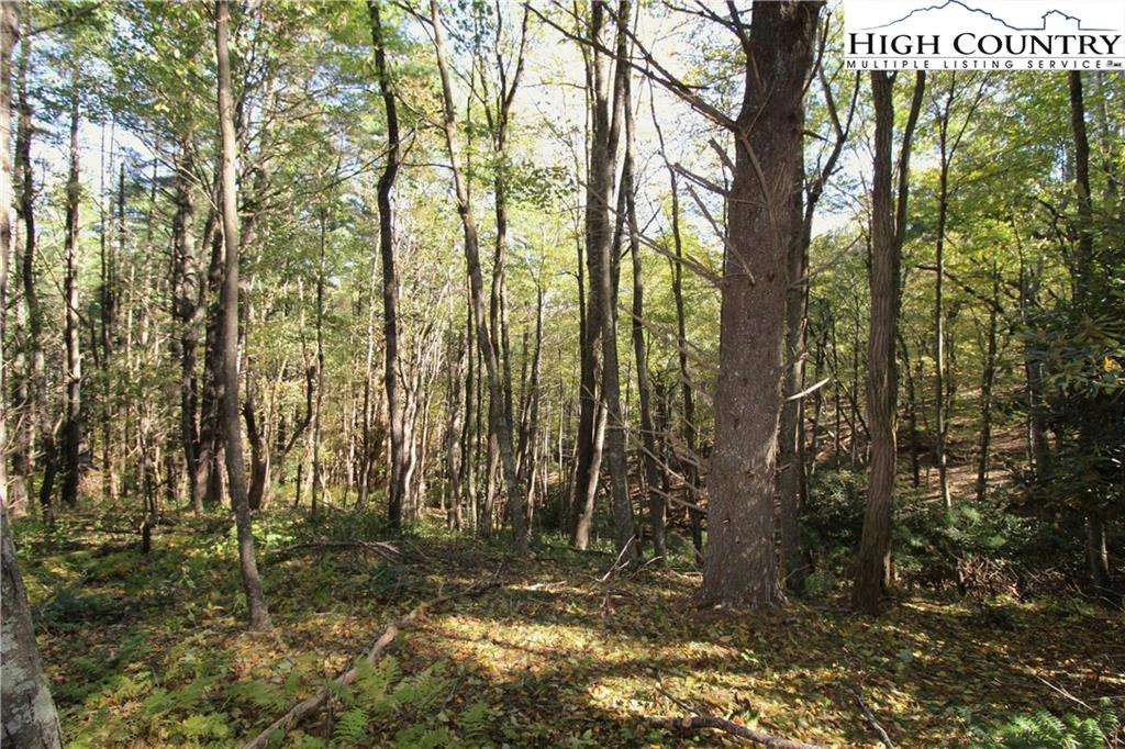 Image number 14 for the current listing