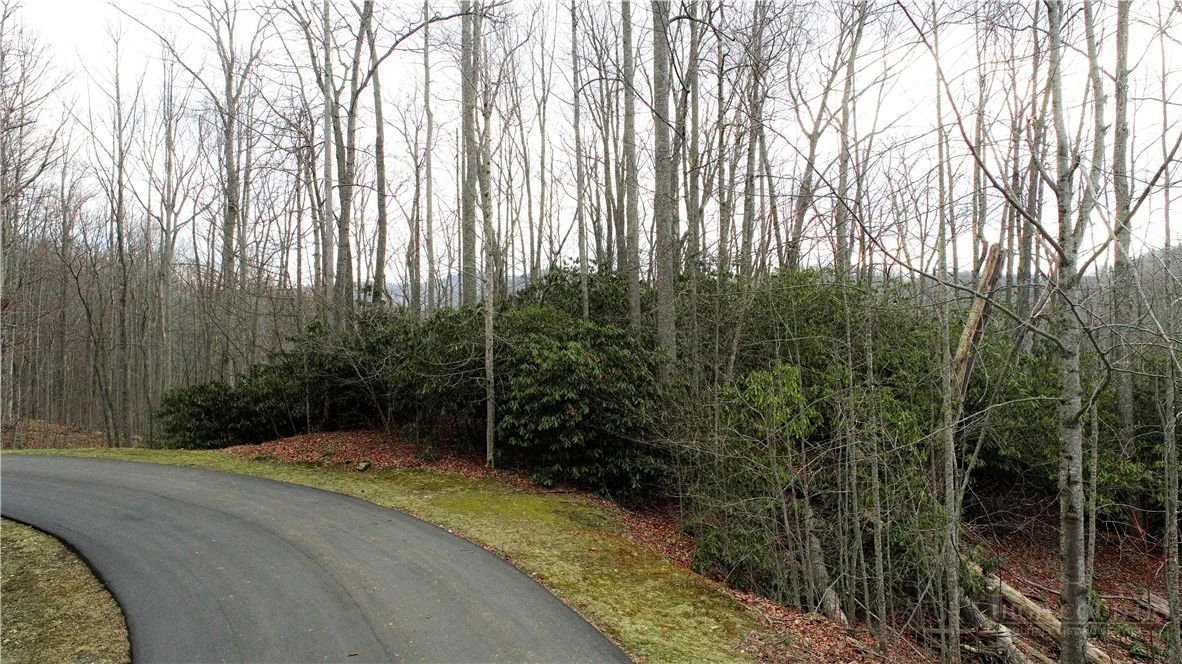 Image number 1 for the current listing