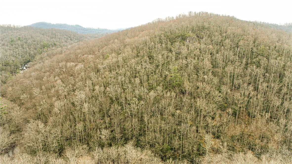 Image number 3 for the current listing