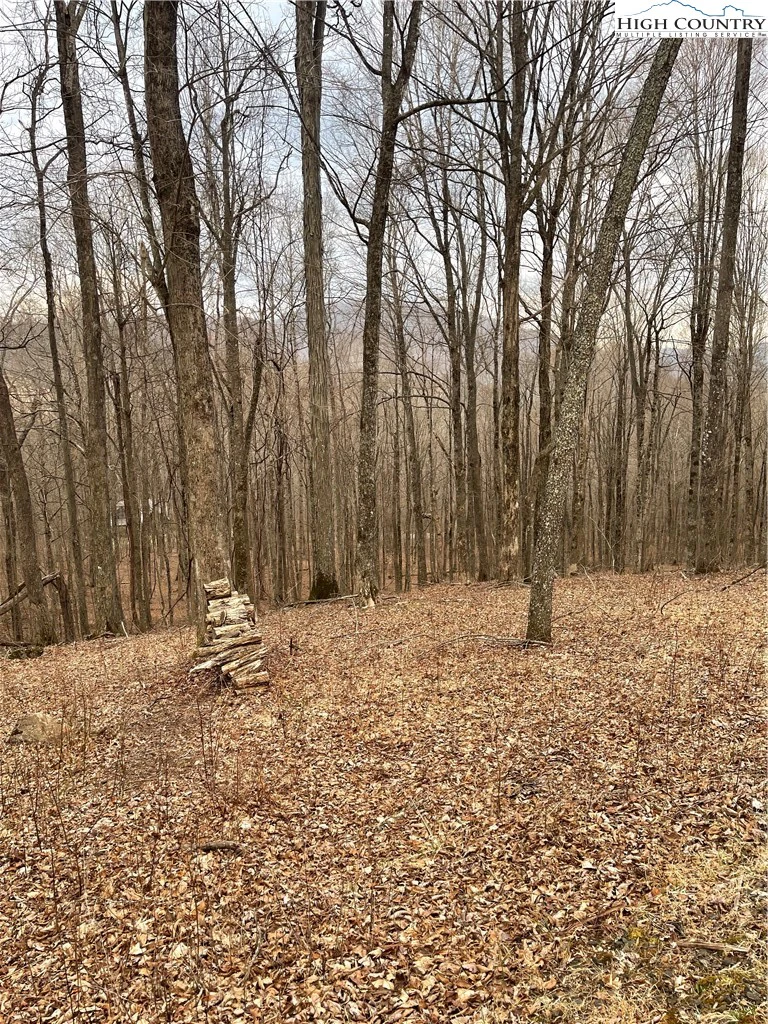 Image number 21 for the current listing