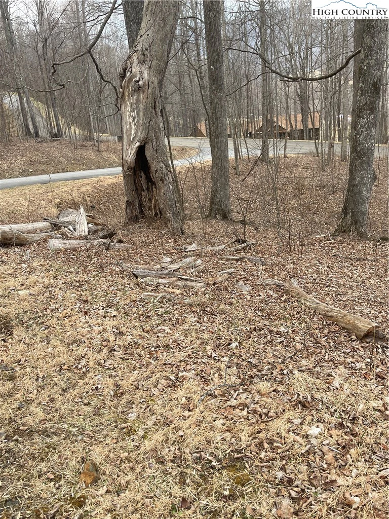 Image number 2 for the current listing