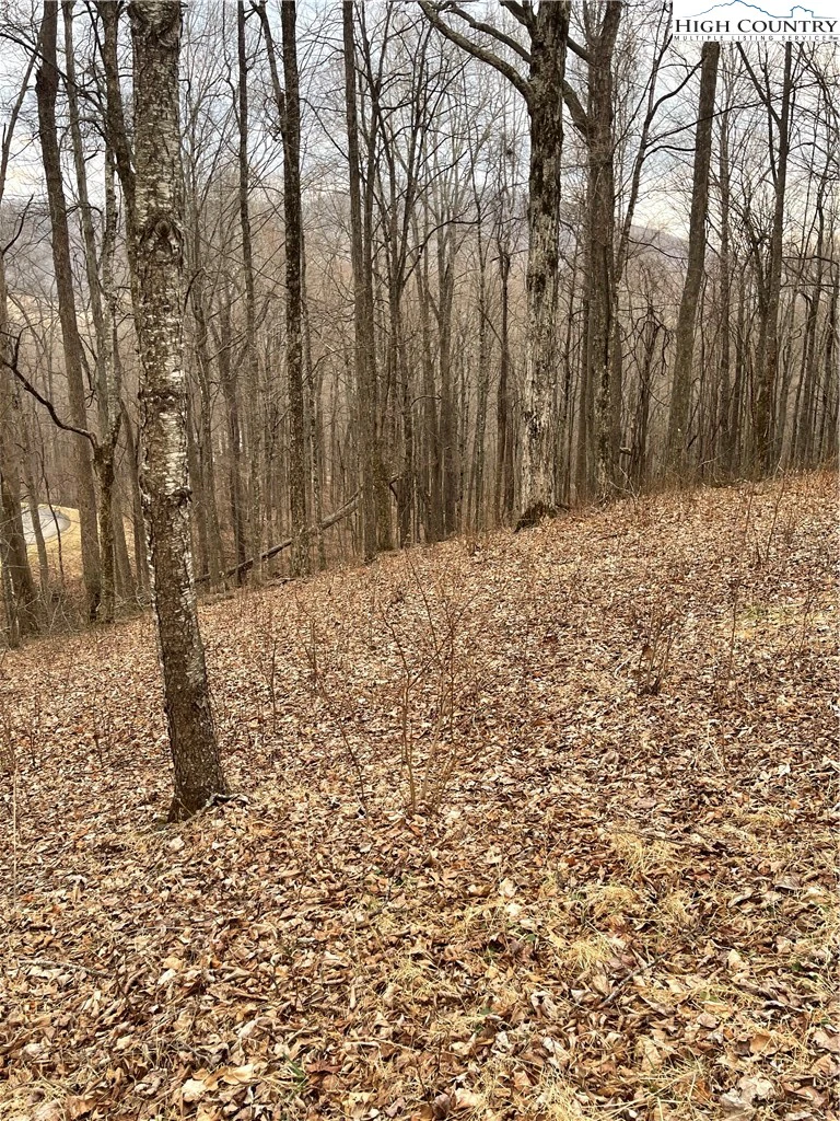Image number 14 for the current listing