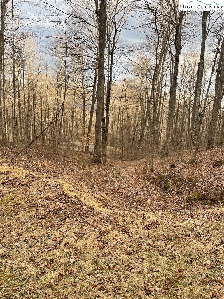 Image number 13 for the current listing