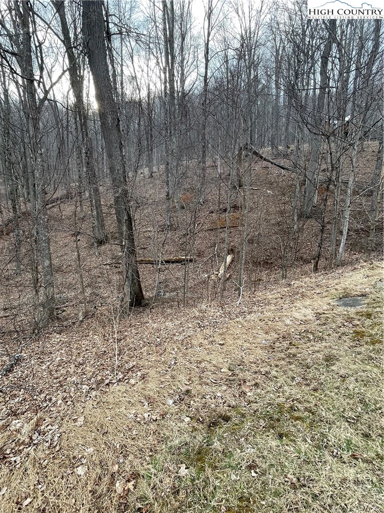 Image number 10 for the current listing