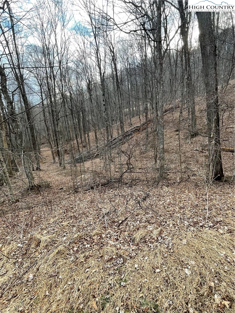 Image number 9 for the current listing