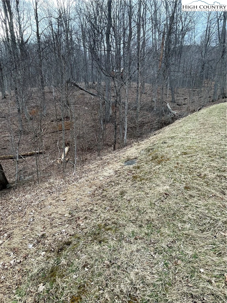 Image number 8 for the current listing