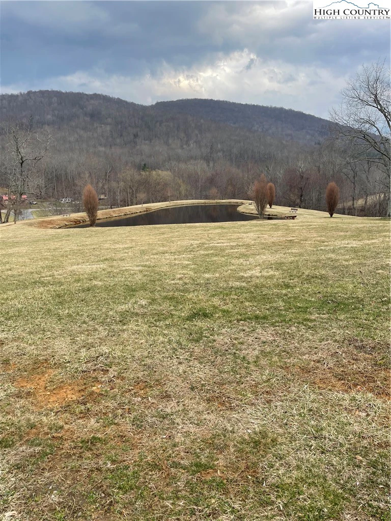 Image number 7 for the current listing