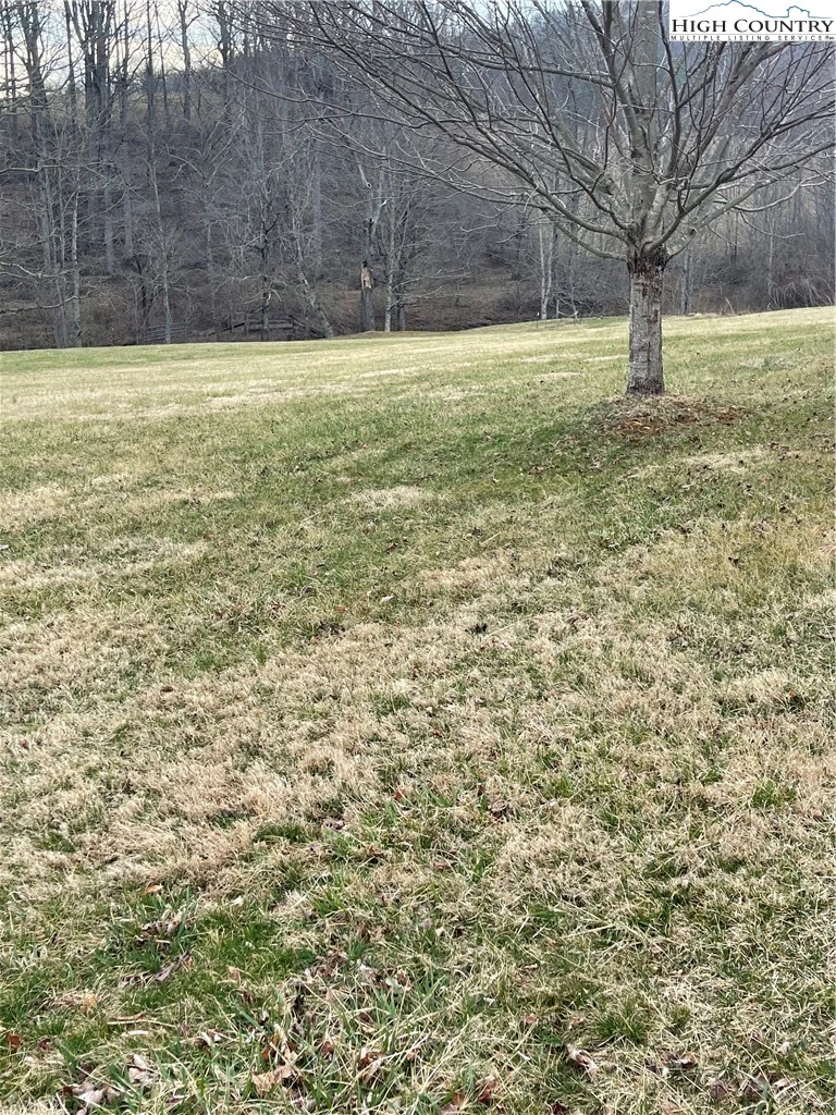 Image number 3 for the current listing