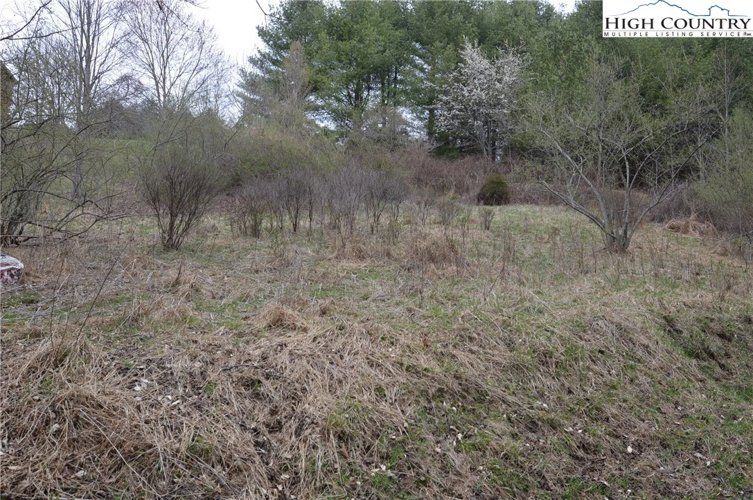 Image number 1 for the current listing