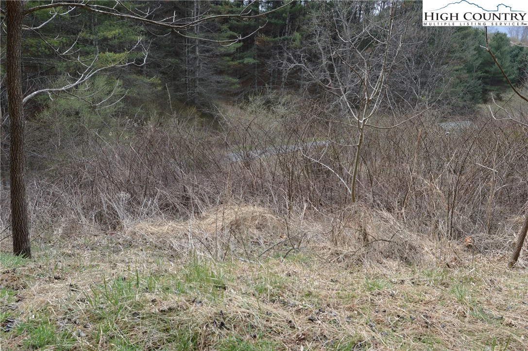 Image number 21 for the current listing
