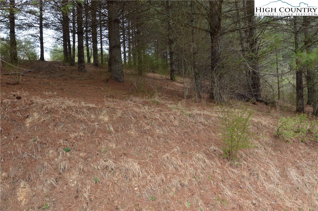 Image number 10 for the current listing