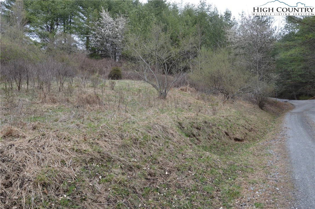 Image number 3 for the current listing