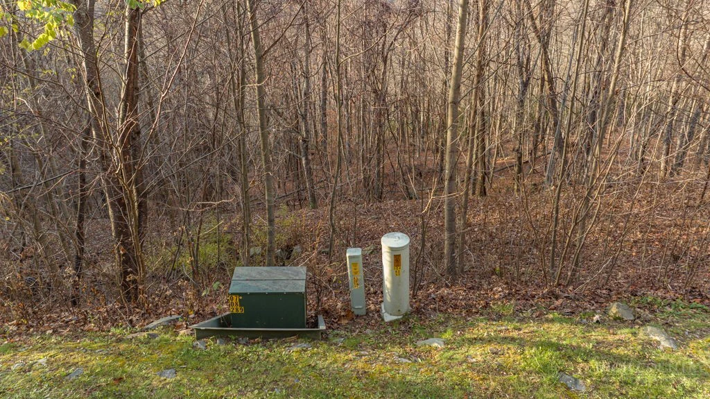 Image number 9 for the current listing