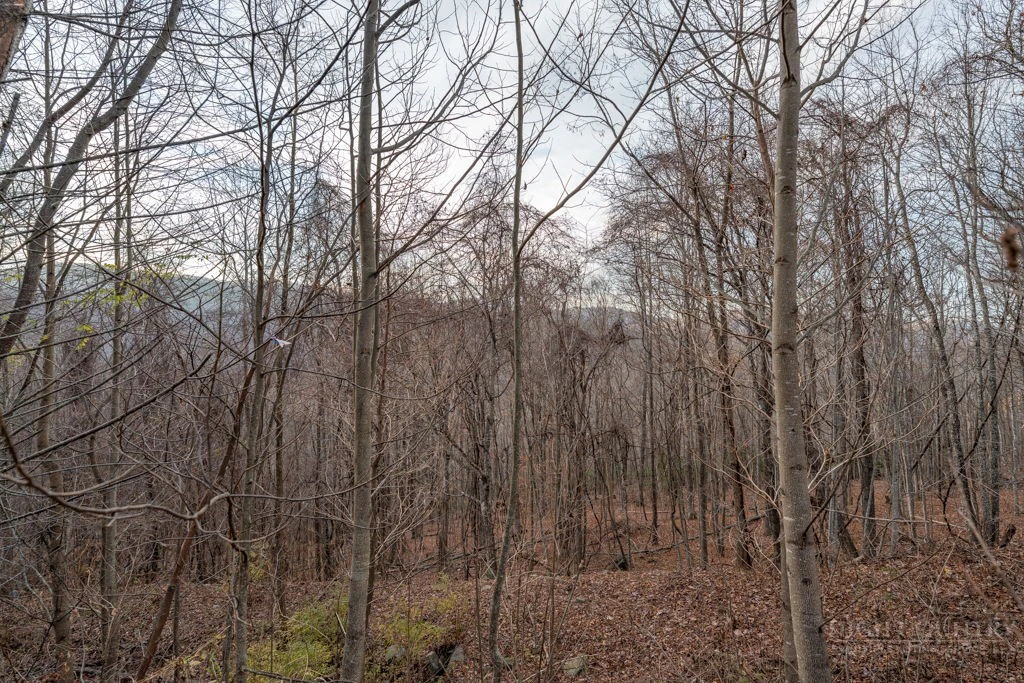 Image number 11 for the current listing