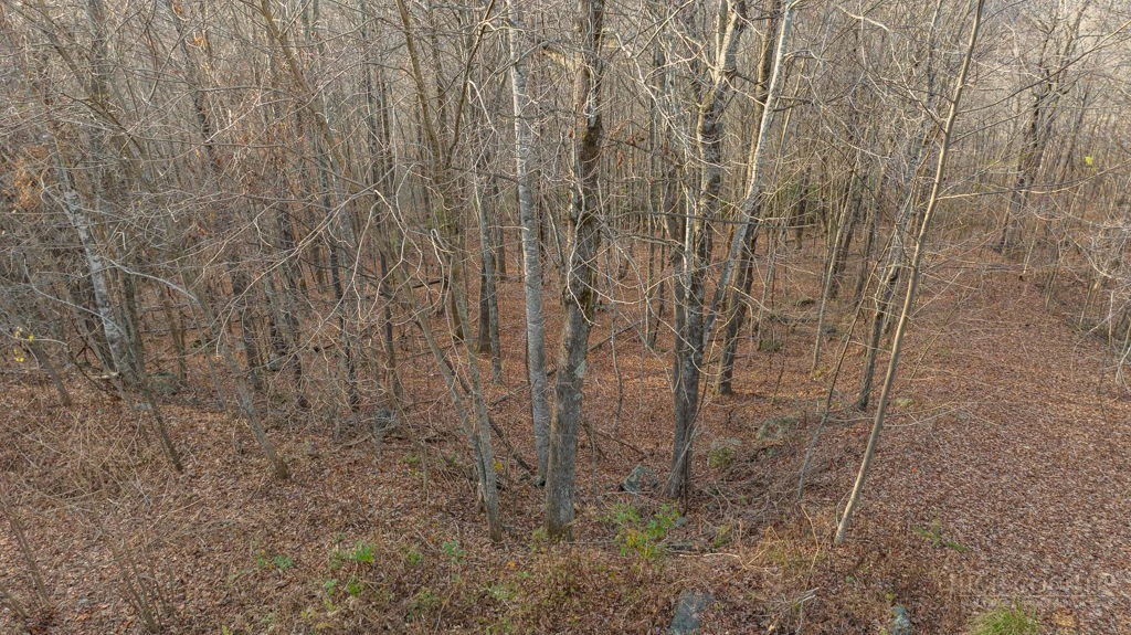 Image number 14 for the current listing