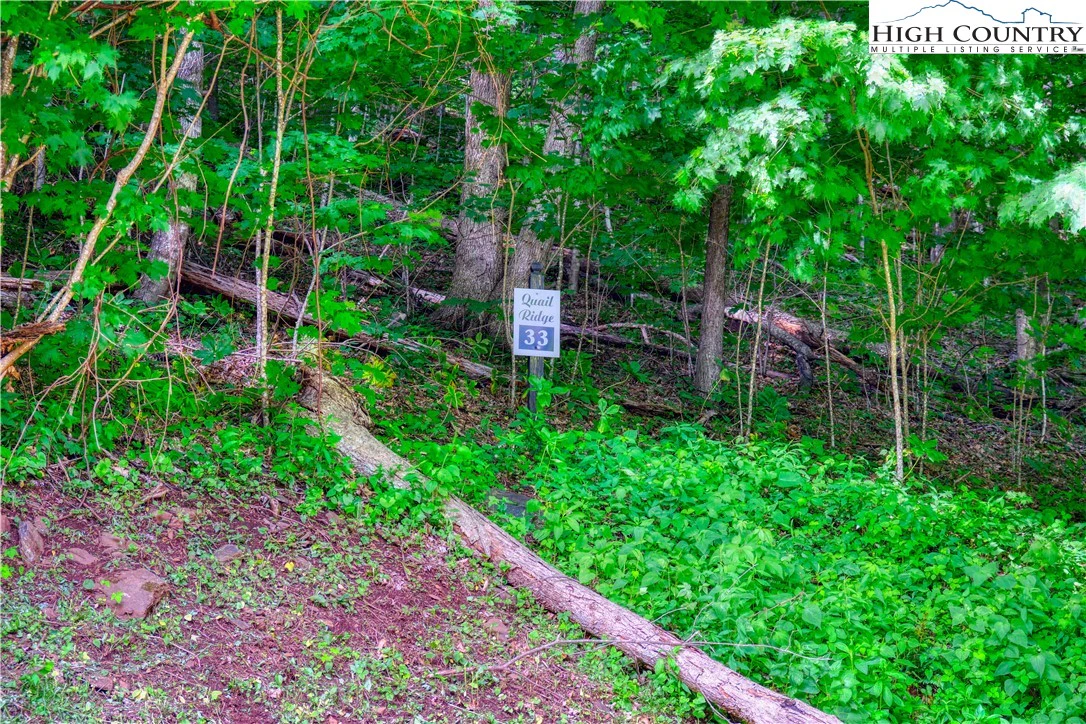 Image number 3 for the current listing